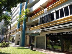 Tiong Bahru Orchid (D3), Shop House #598592051